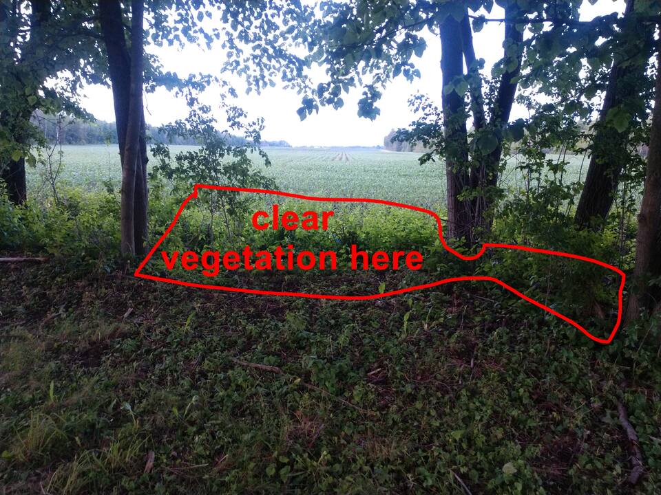 Task 14: 2026-06-21_22h46s52_4000x3000.jpg